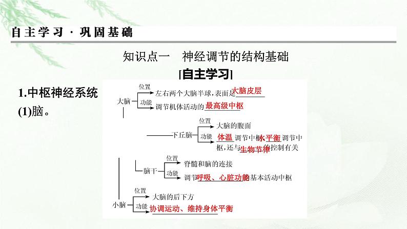 2024届高考生物一轮复习第八单元人和高等动物生命活动的调节第2讲神经调节课件第3页