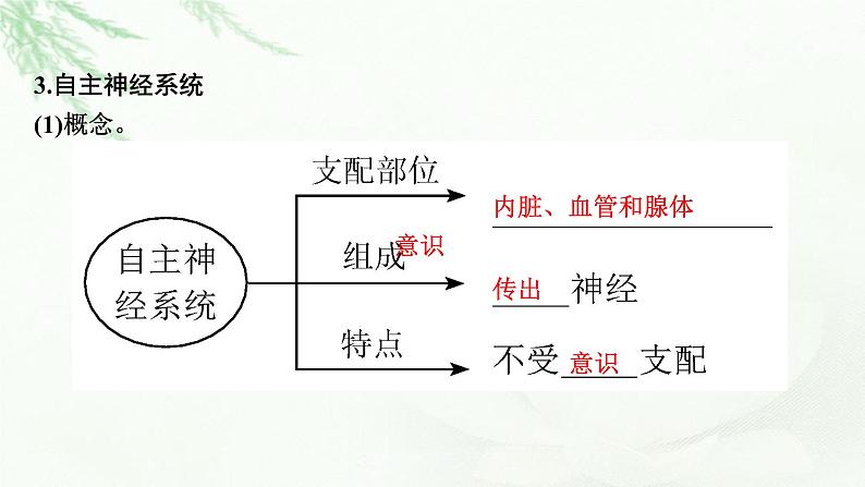 2024届高考生物一轮复习第八单元人和高等动物生命活动的调节第2讲神经调节课件第6页