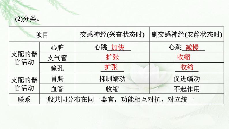 2024届高考生物一轮复习第八单元人和高等动物生命活动的调节第2讲神经调节课件第7页