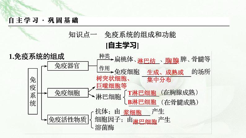 2024届高考生物一轮复习第八单元人和高等动物生命活动的调节第4讲免疫调节课件第3页