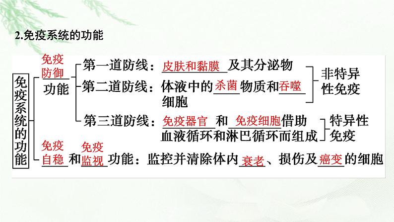2024届高考生物一轮复习第八单元人和高等动物生命活动的调节第4讲免疫调节课件第4页