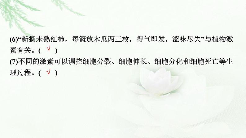 2024届高考生物一轮复习第九单元植物生命活动的调节第2讲其他植物激素植物生长调节剂的应用环境因素参与调节植物的生命活动课件第8页