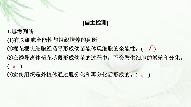 2024届高考生物一轮复习第十三单元细胞工程第1讲细胞工程课件05