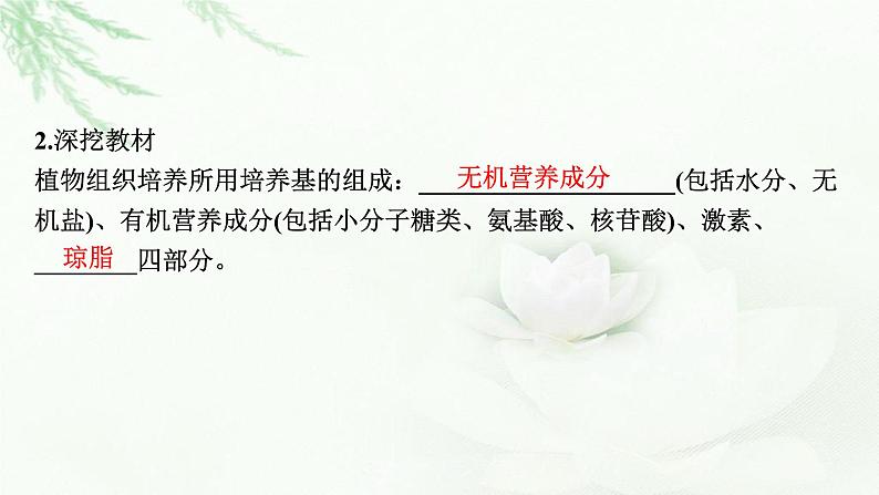 2024届高考生物一轮复习第十三单元细胞工程第1讲细胞工程课件07