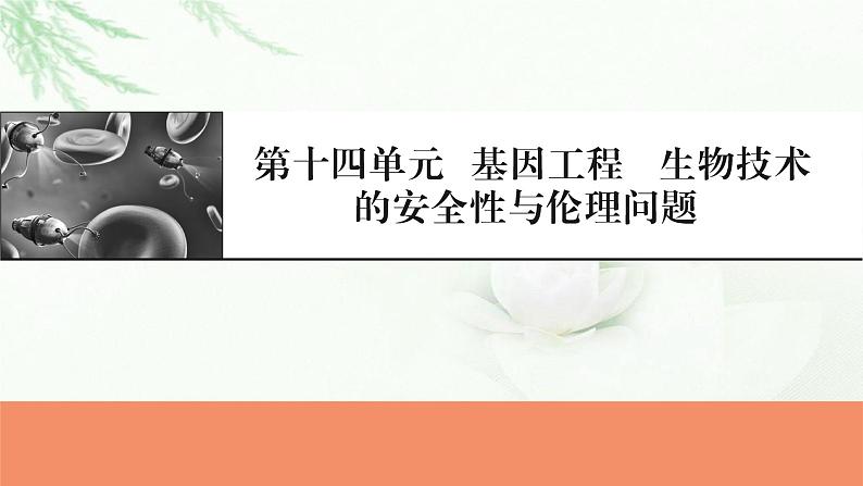 2024届高考生物一轮复习第十四章基因工程生物技术的安全性与伦理问题课件第1页