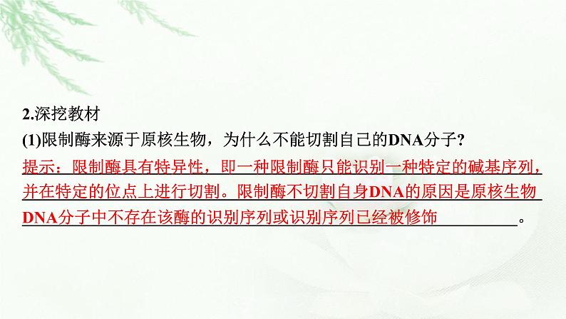 2024届高考生物一轮复习第十四章基因工程生物技术的安全性与伦理问题课件第6页