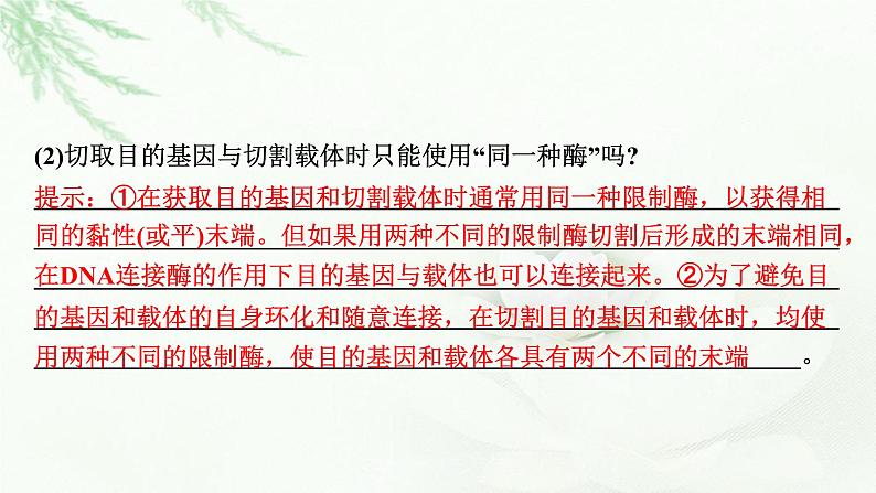 2024届高考生物一轮复习第十四章基因工程生物技术的安全性与伦理问题课件第7页