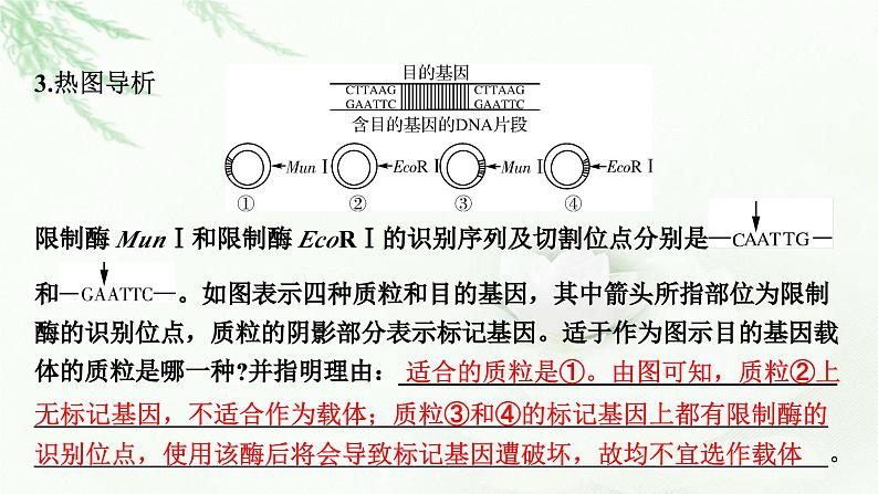 2024届高考生物一轮复习第十四章基因工程生物技术的安全性与伦理问题课件第8页