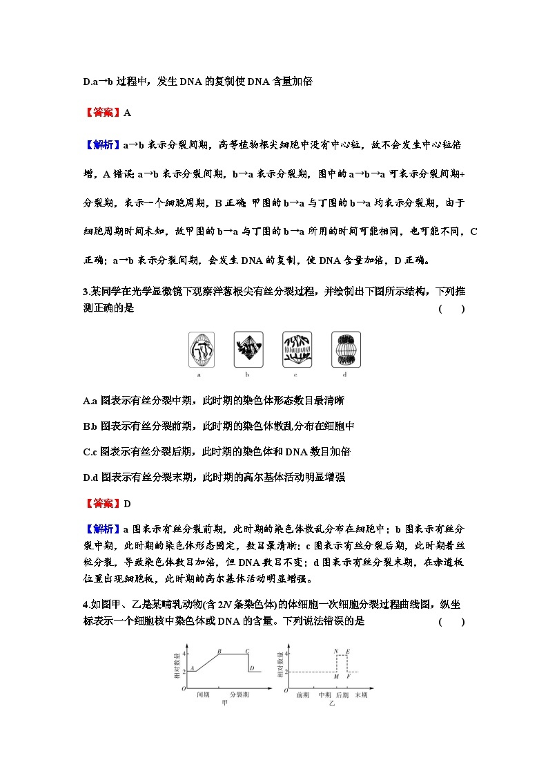 2024届高考生物一轮复习第四单元细胞的生命历程第1讲细胞的增殖练习含答案02