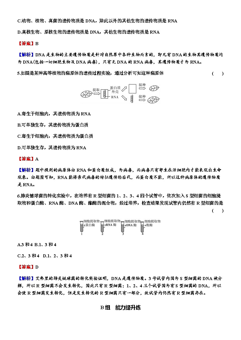 2024届高考生物一轮复习第六单元基因的本质基因的表达第1讲DNA是主要的遗传物质练习含答案第3页