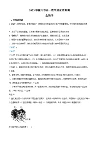 安徽省滁州市2022-2023学年高一生物下学期期末试题（Word版附解析）