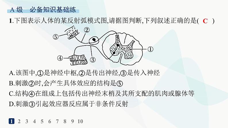 人教A版高中生物选择性必修1稳态与调节第2章神经调节第2节神经调节的基本方式分层作业课件02