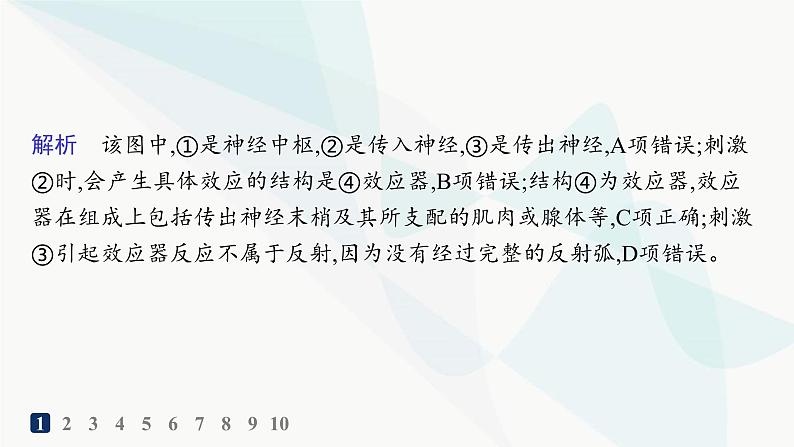 人教A版高中生物选择性必修1稳态与调节第2章神经调节第2节神经调节的基本方式分层作业课件03