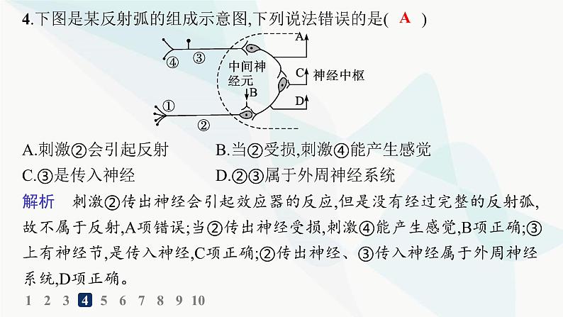 人教A版高中生物选择性必修1稳态与调节第2章神经调节第2节神经调节的基本方式分层作业课件08