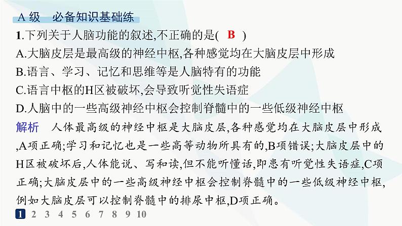 人教A版高中生物选择性必修1稳态与调节第2章神经调节第5节人脑的高级功能分层作业课件第2页