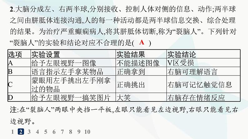 人教A版高中生物选择性必修1稳态与调节第2章神经调节第5节人脑的高级功能分层作业课件第3页