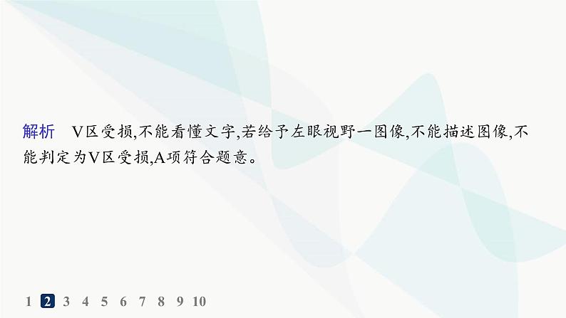 人教A版高中生物选择性必修1稳态与调节第2章神经调节第5节人脑的高级功能分层作业课件第4页