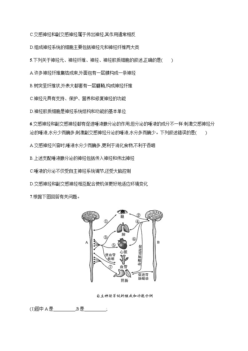 人教A版高中生物选择性必修1稳态与调节第2章神经调节第1节神经调节的结构基础练习含答案第2页