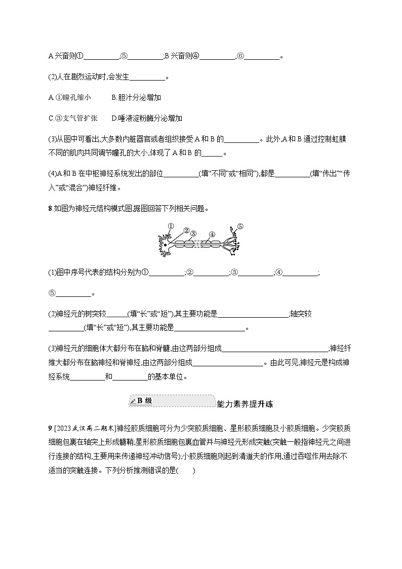 人教A版高中生物选择性必修1稳态与调节第2章神经调节第1节神经调节的结构基础练习含答案第3页