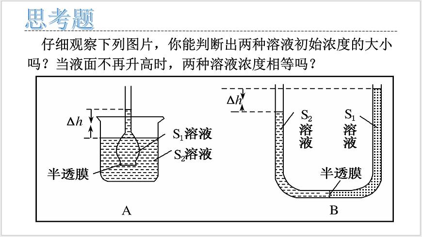 4《 細(xì)胞的物質(zhì)輸入和輸出》第6頁(yè)