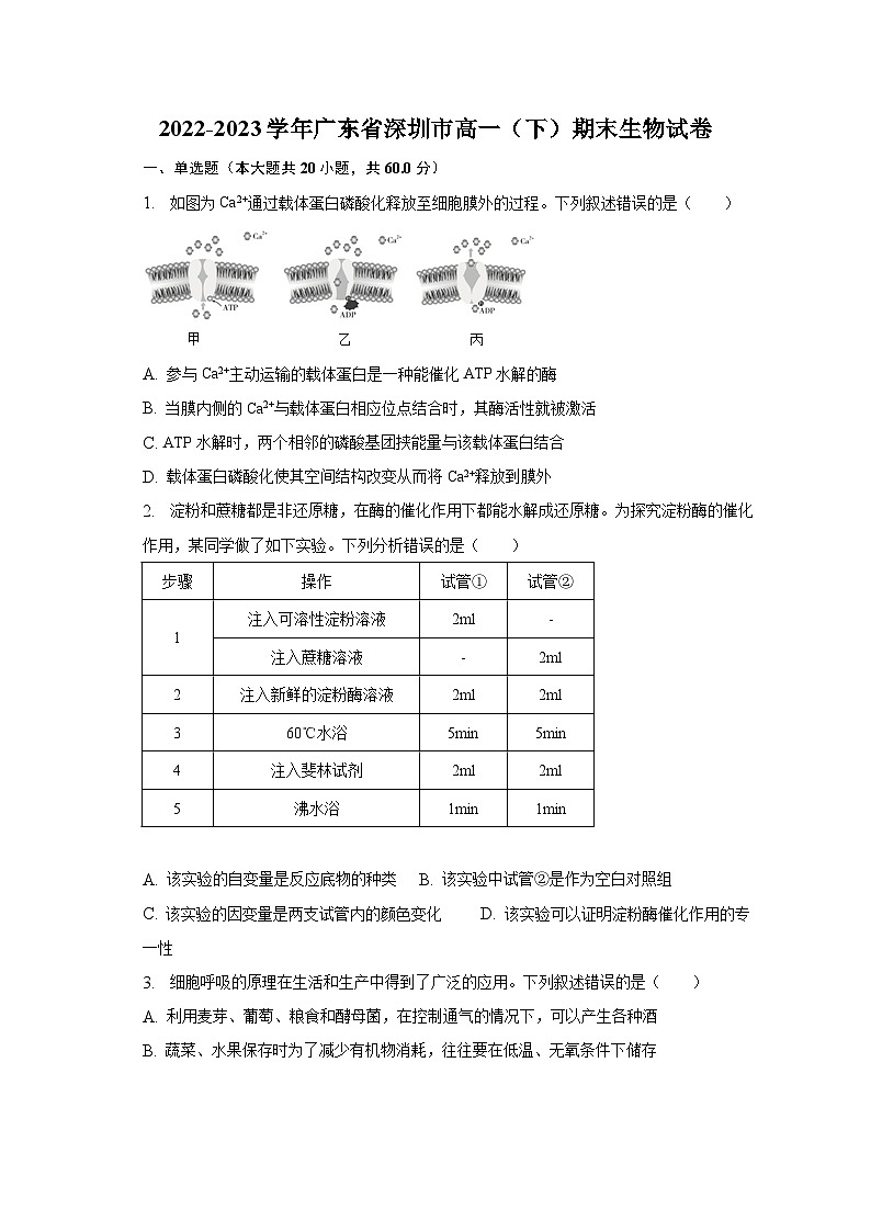 2022-2023学年广东省深圳市高一(下)期末生物试卷(含解析)01