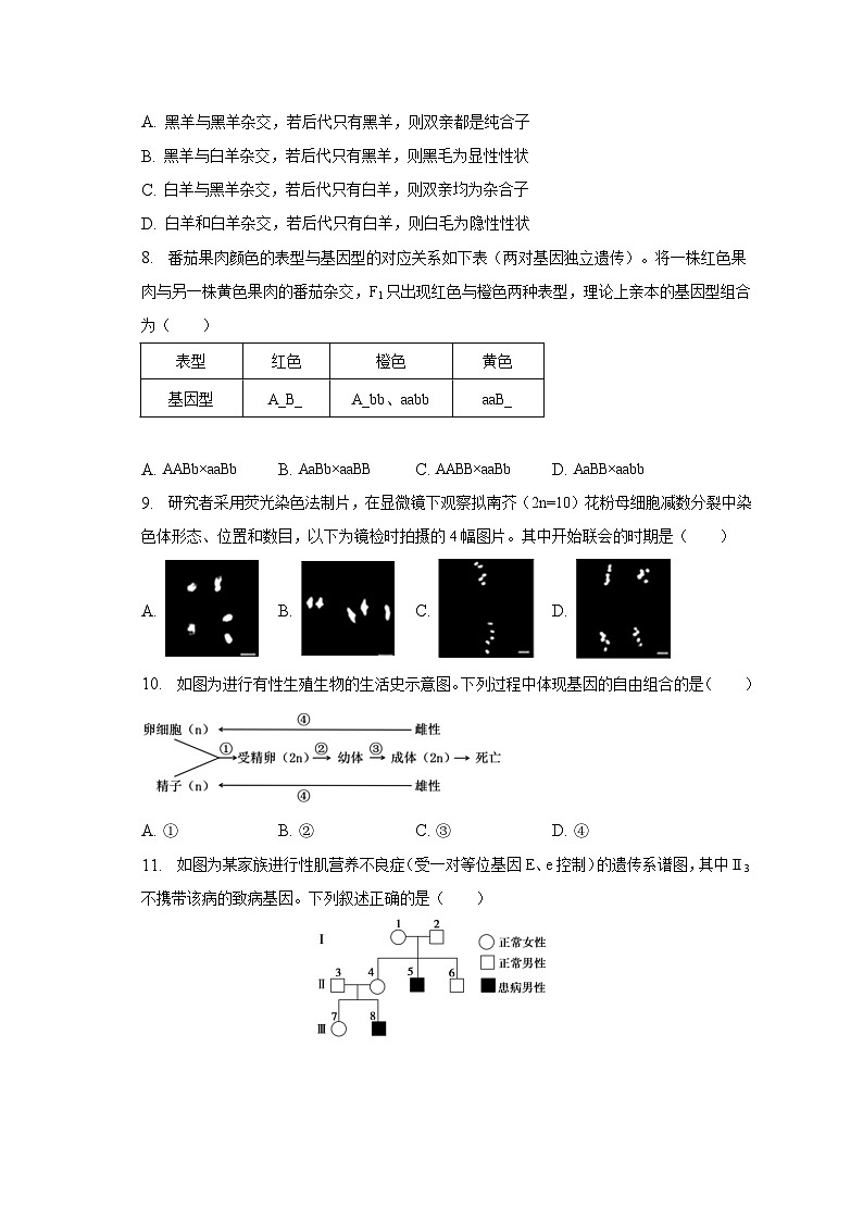 2022-2023学年广东省深圳市高一(下)期末生物试卷(含解析)03