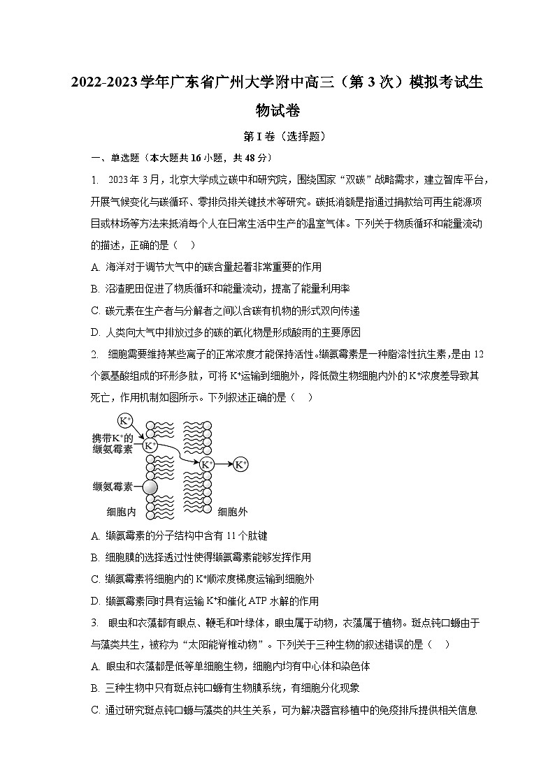 2022-2023学年广东省广州大学附中高三(第3次)模拟考试生物试卷(含解析)01