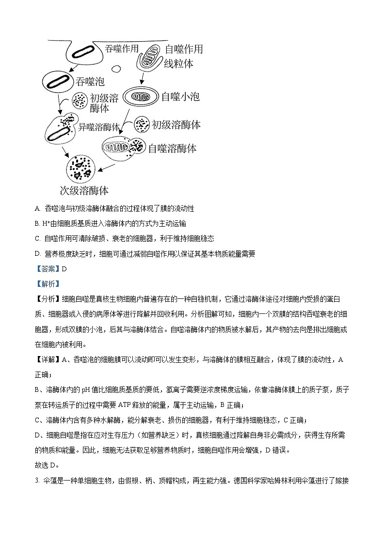 安徽省黄山市2022-2023学年高二下学期期末生物试题  Word版含解析02