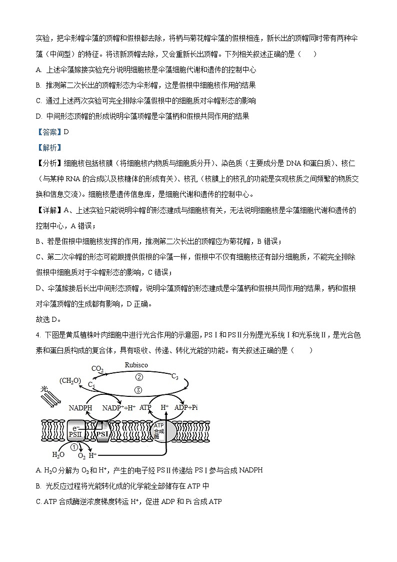 安徽省黄山市2022-2023学年高二下学期期末生物试题  Word版含解析03