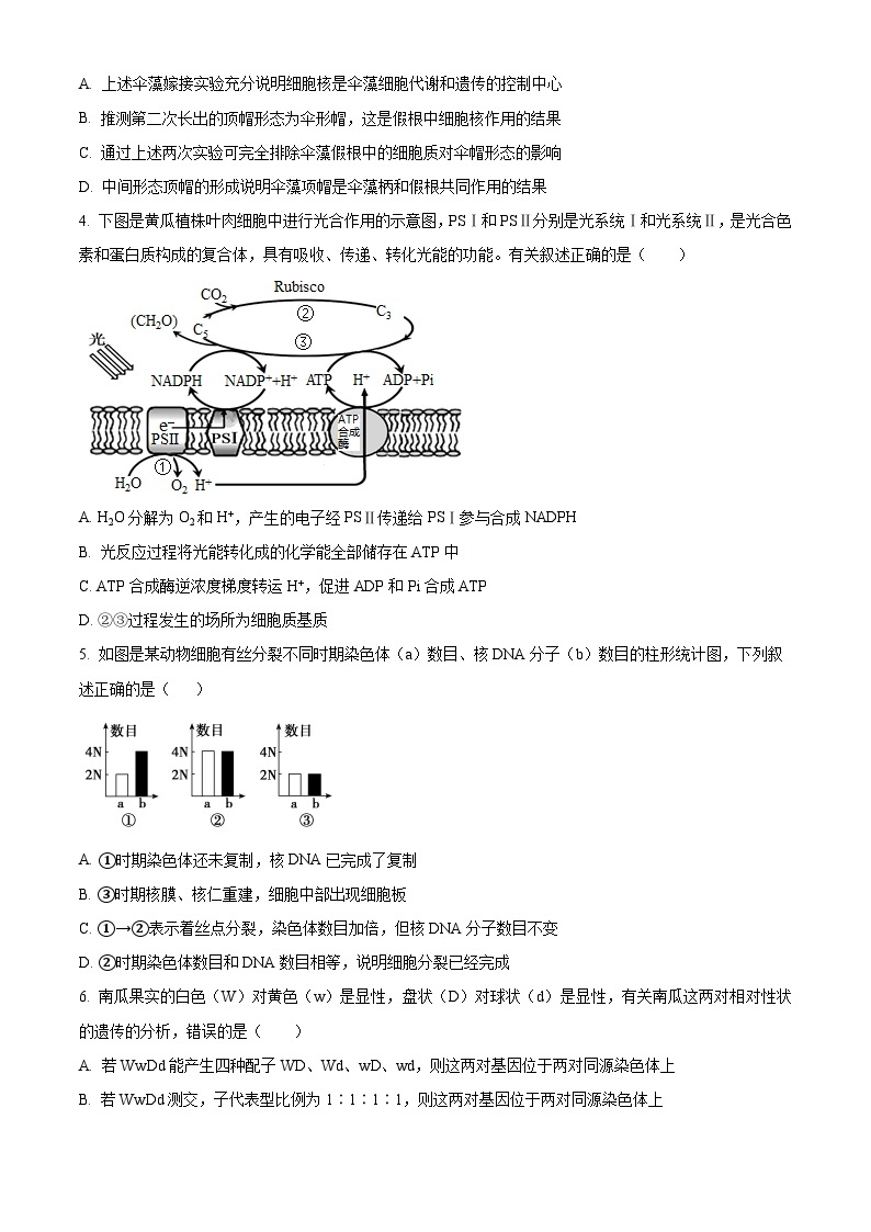 安徽省黄山市2022-2023学年高二下学期期末生物试题  Word版含解析02