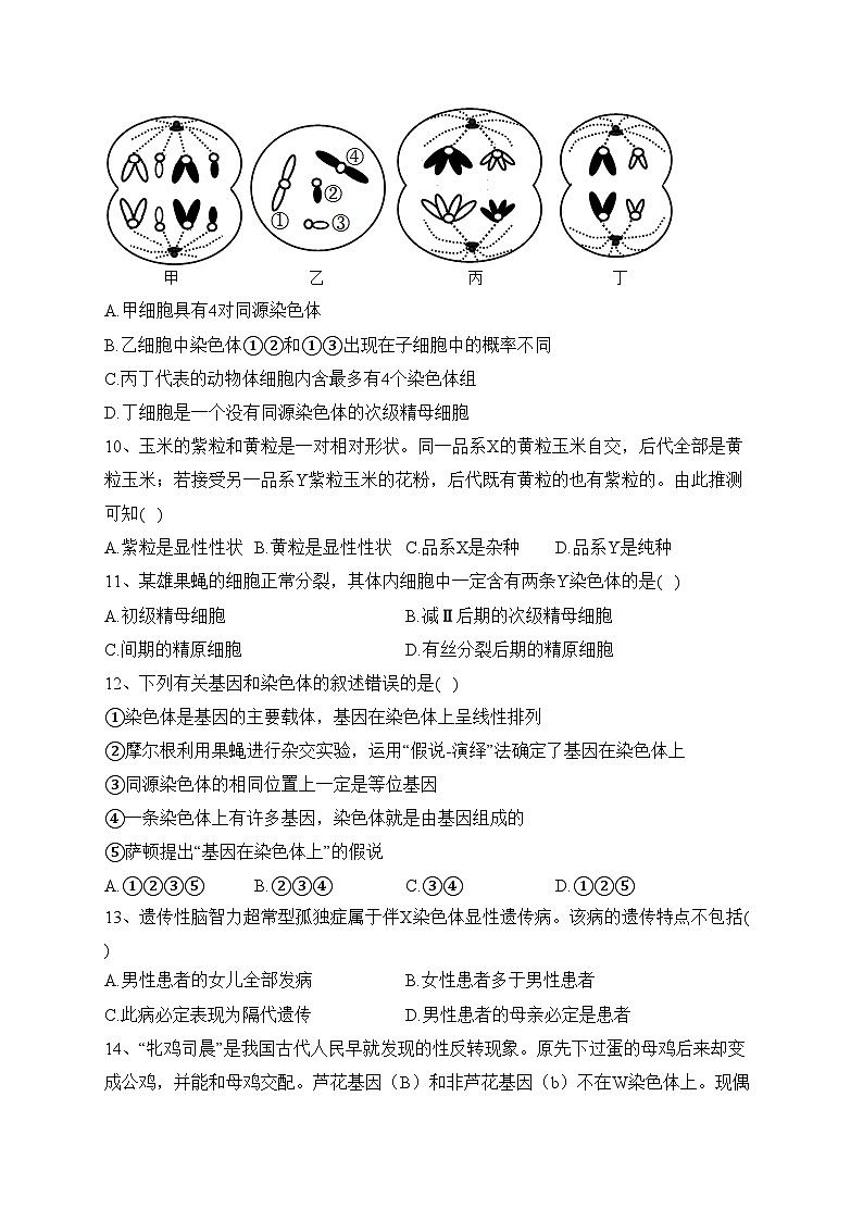 四川省宜賓市南溪第一中學(xué)校2022-2023學(xué)年高一下學(xué)期期末模擬生物試卷（含答案）第3頁