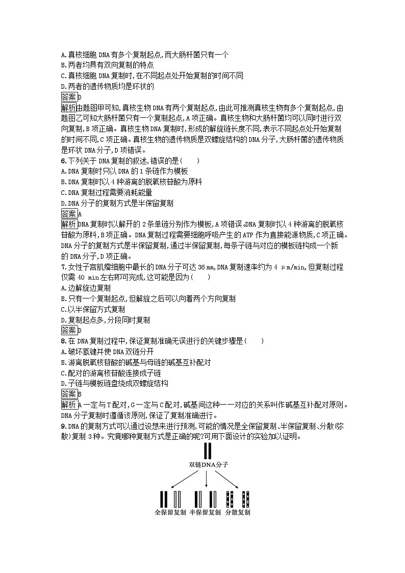 新教材2023年高中生物第3章基因的本质第3节DNA的复制课后训练新人教版必修202