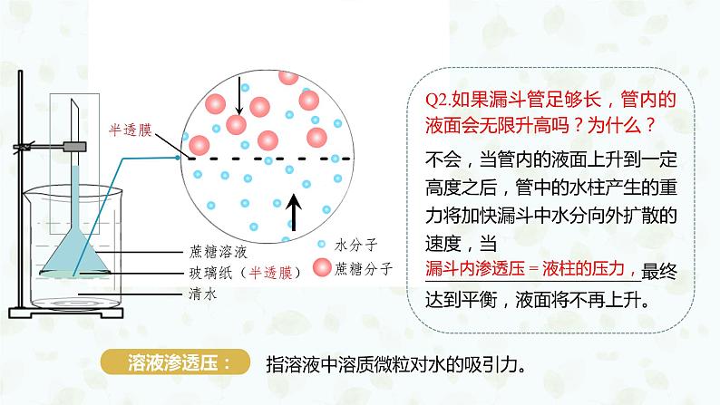 4.1.1 探究植物细胞的吸水和失水实验与被动运输课件PPT05