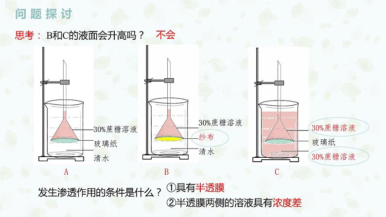 4.1.1 探究植物细胞的吸水和失水实验与被动运输课件PPT06