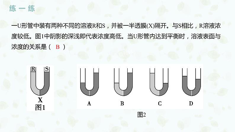 4.1.1 探究植物细胞的吸水和失水实验与被动运输课件PPT08