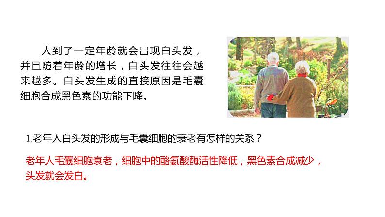 6.3 细胞的衰老和死亡课件PPT第2页