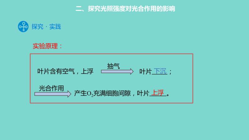 5.4.3 光合作用原理的应用课件PPT03