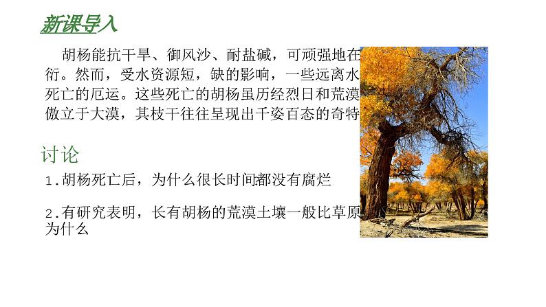 高中生物人教版(2019)选择性必修2第三章3.3《生态系统的物质循环》课件第3页