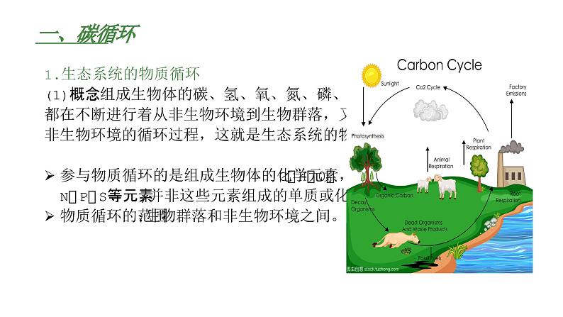 高中生物人教版(2019)选择性必修2第三章3.3《生态系统的物质循环》课件第4页