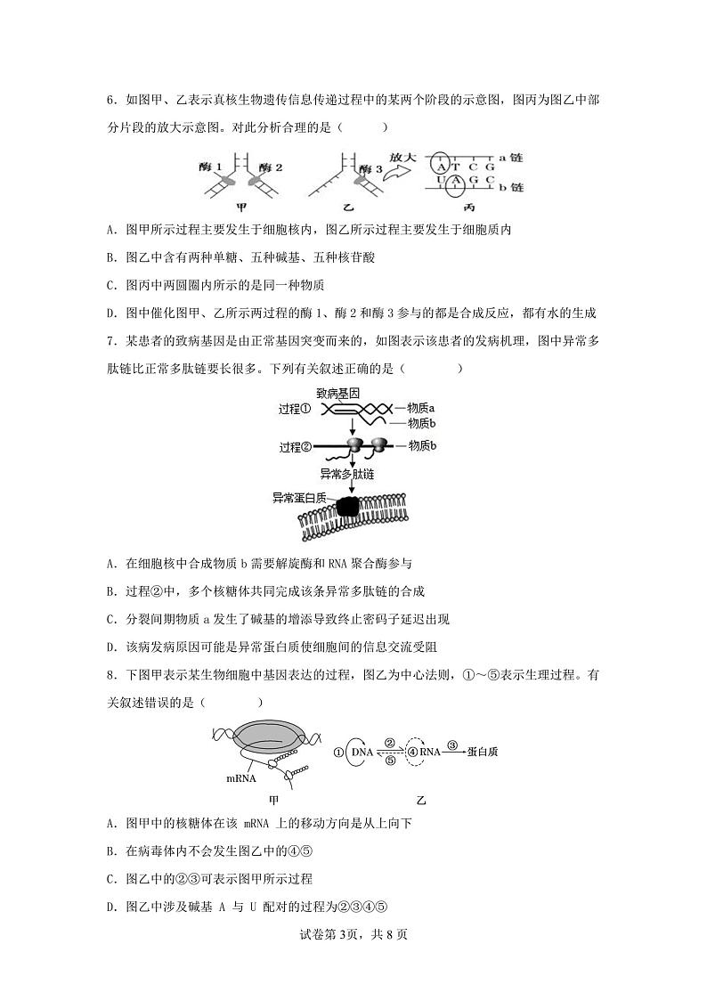 广东省惠州市博罗县博罗中学2022-2023学年下学期高一下学期6月考试生物试题第3页