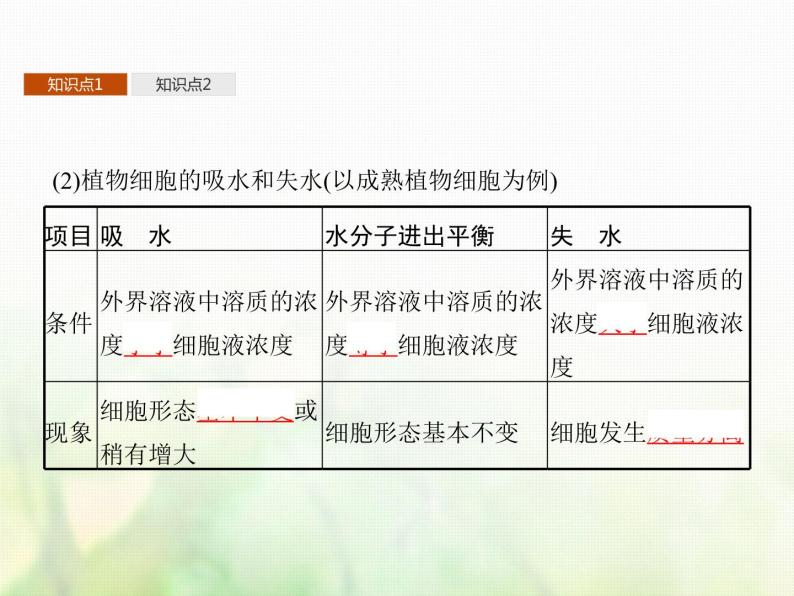 高中生物学考复习专题第二单元细胞的代谢4物质出入细胞的方式课件05