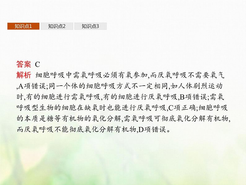 高中生物学考复习专题第二单元细胞的代谢5细胞呼吸课件第8页