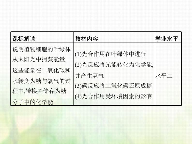 高中生物学考复习专题第二单元细胞的代谢6光合作用课件02