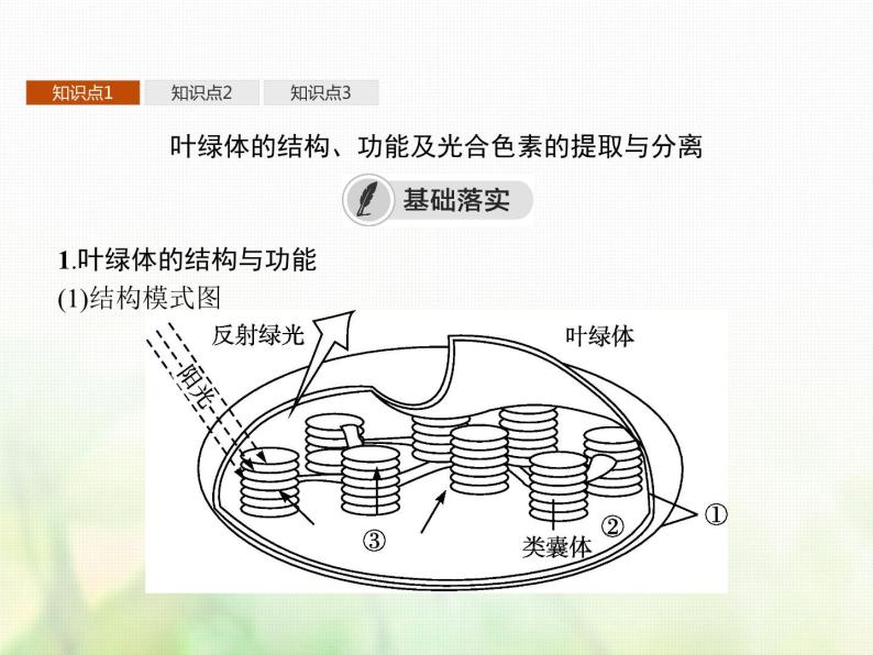 高中生物学考复习专题第二单元细胞的代谢6光合作用课件03