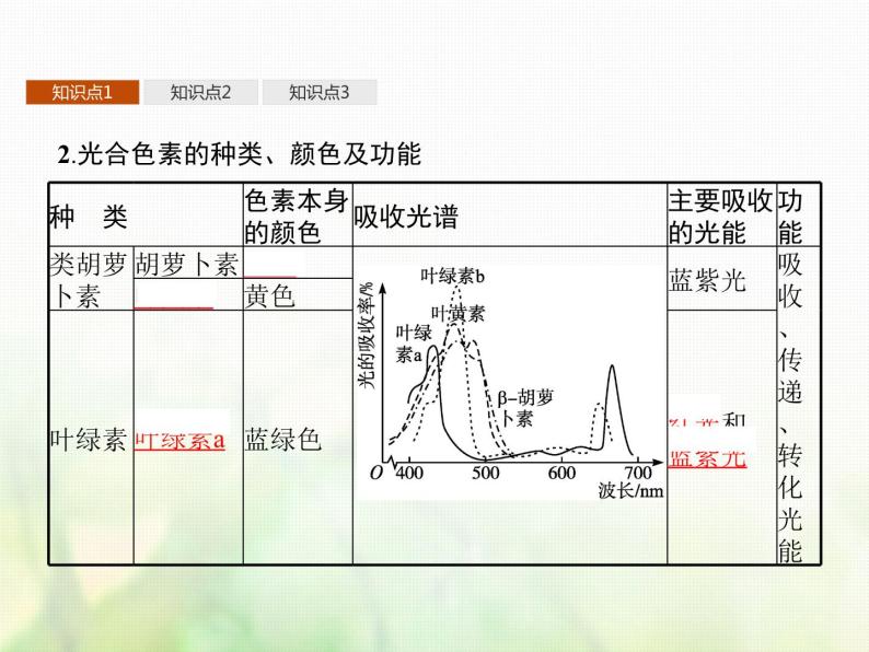 高中生物学考复习专题第二单元细胞的代谢6光合作用课件05