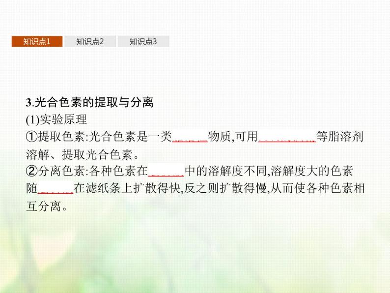 高中生物学考复习专题第二单元细胞的代谢6光合作用课件06