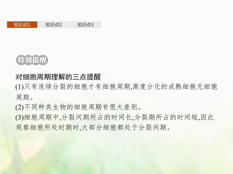 高中生物学考复习专题第三单元细胞的生命历程7细胞通过分裂增殖课件04