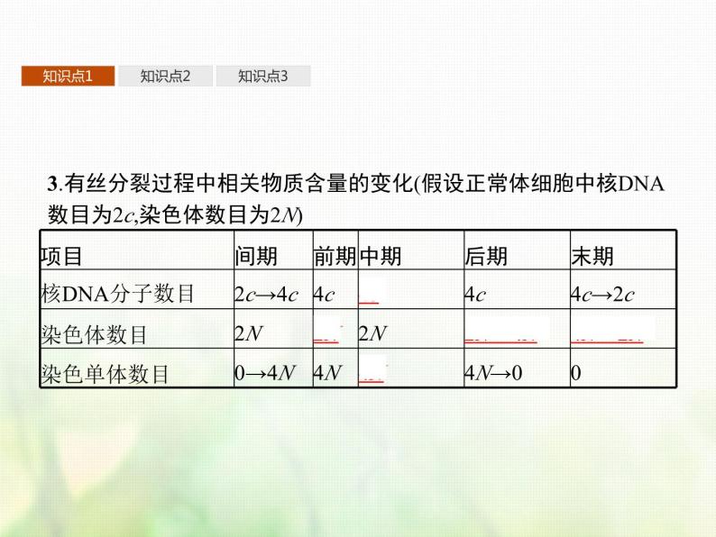 高中生物学考复习专题第三单元细胞的生命历程7细胞通过分裂增殖课件08