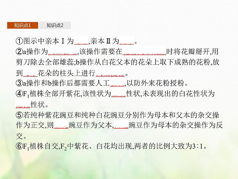 高中生物学考复习专题第四单元遗传的基本规律9分离定律课件第7页