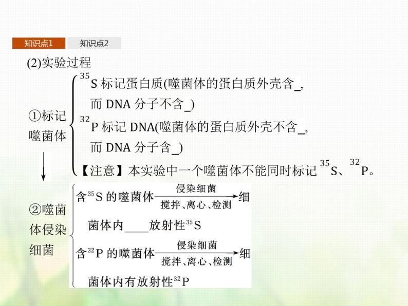 高中生物学考复习专题第六单元遗传的分子基础13核酸是遗传物质课件05